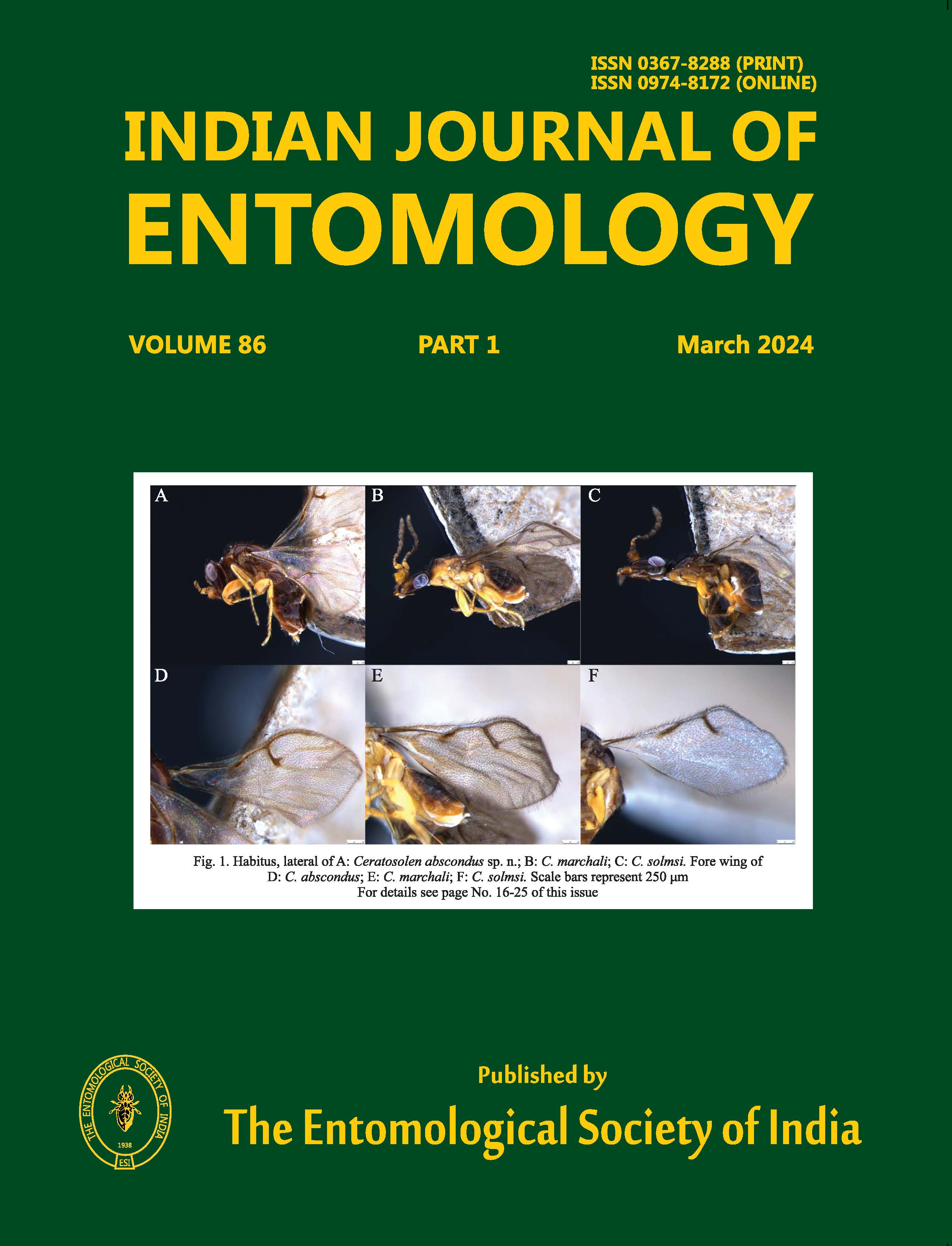 Journal Cover 1