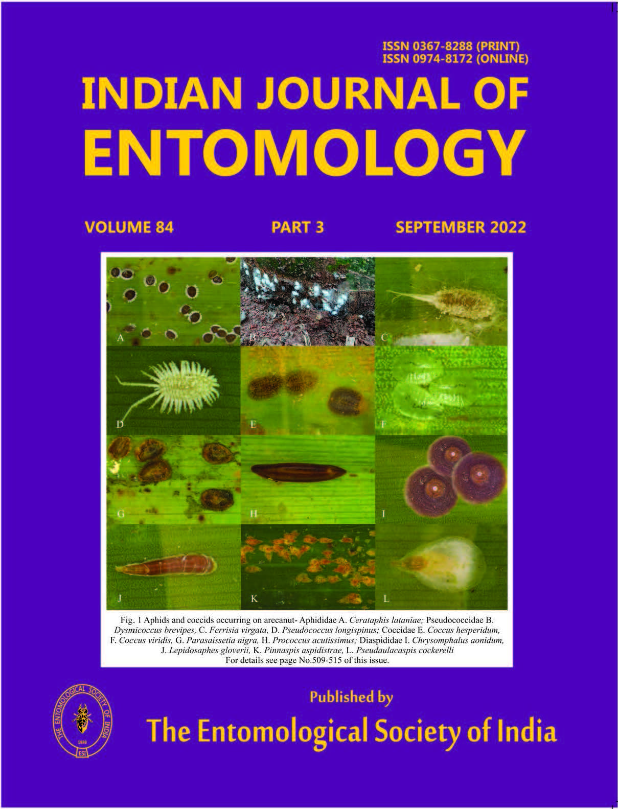 Journal Cover 1