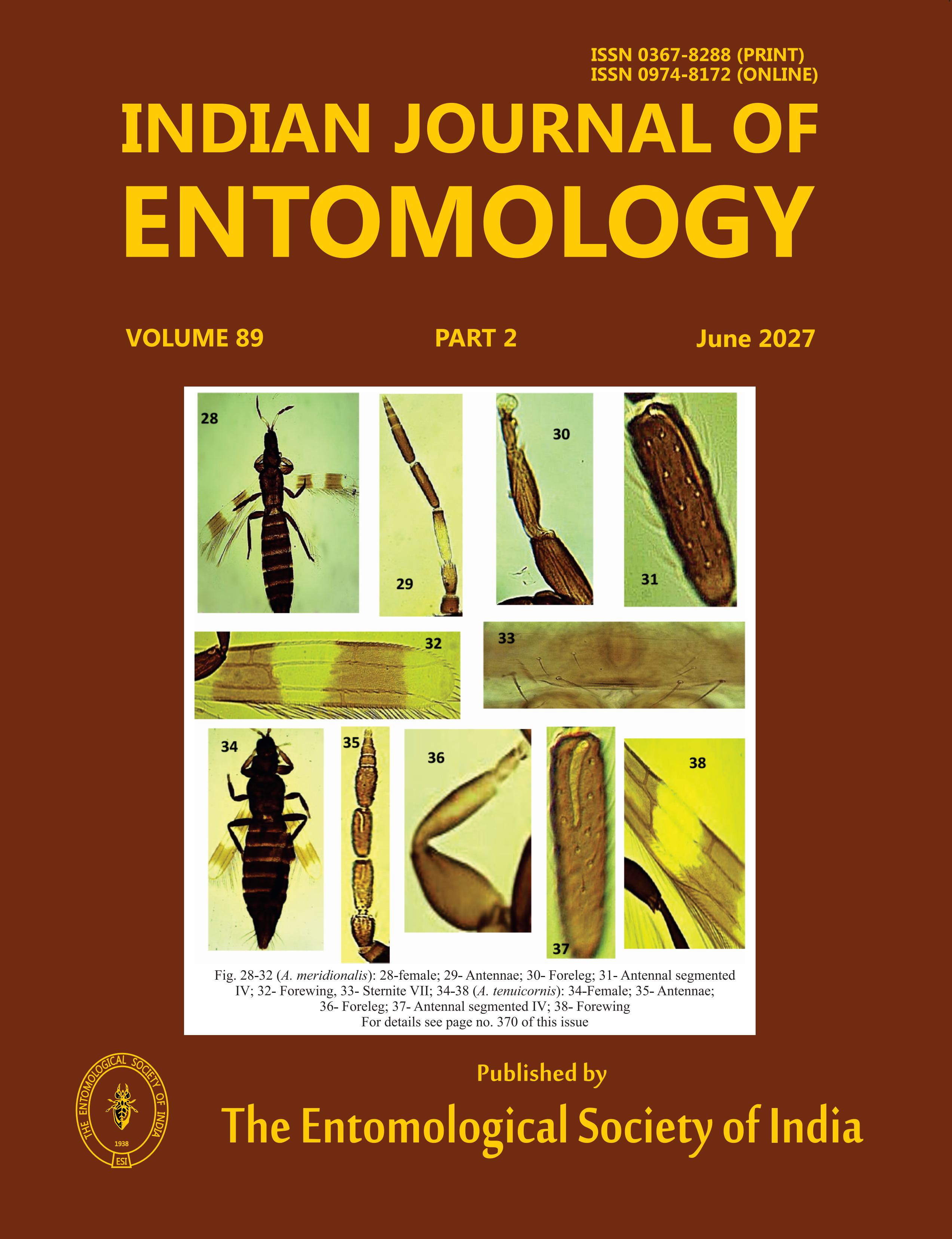 Journal Cover 1