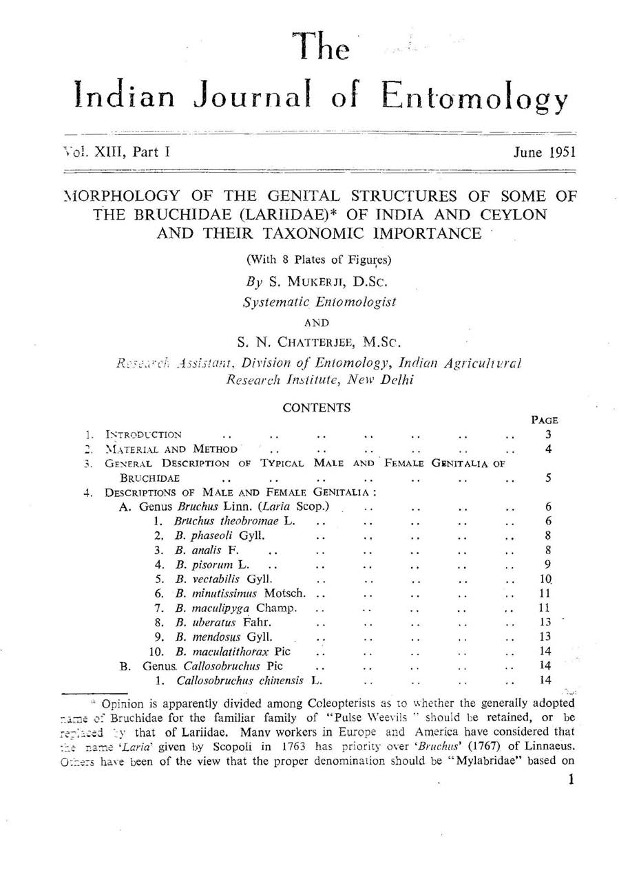 Journal Cover 1
