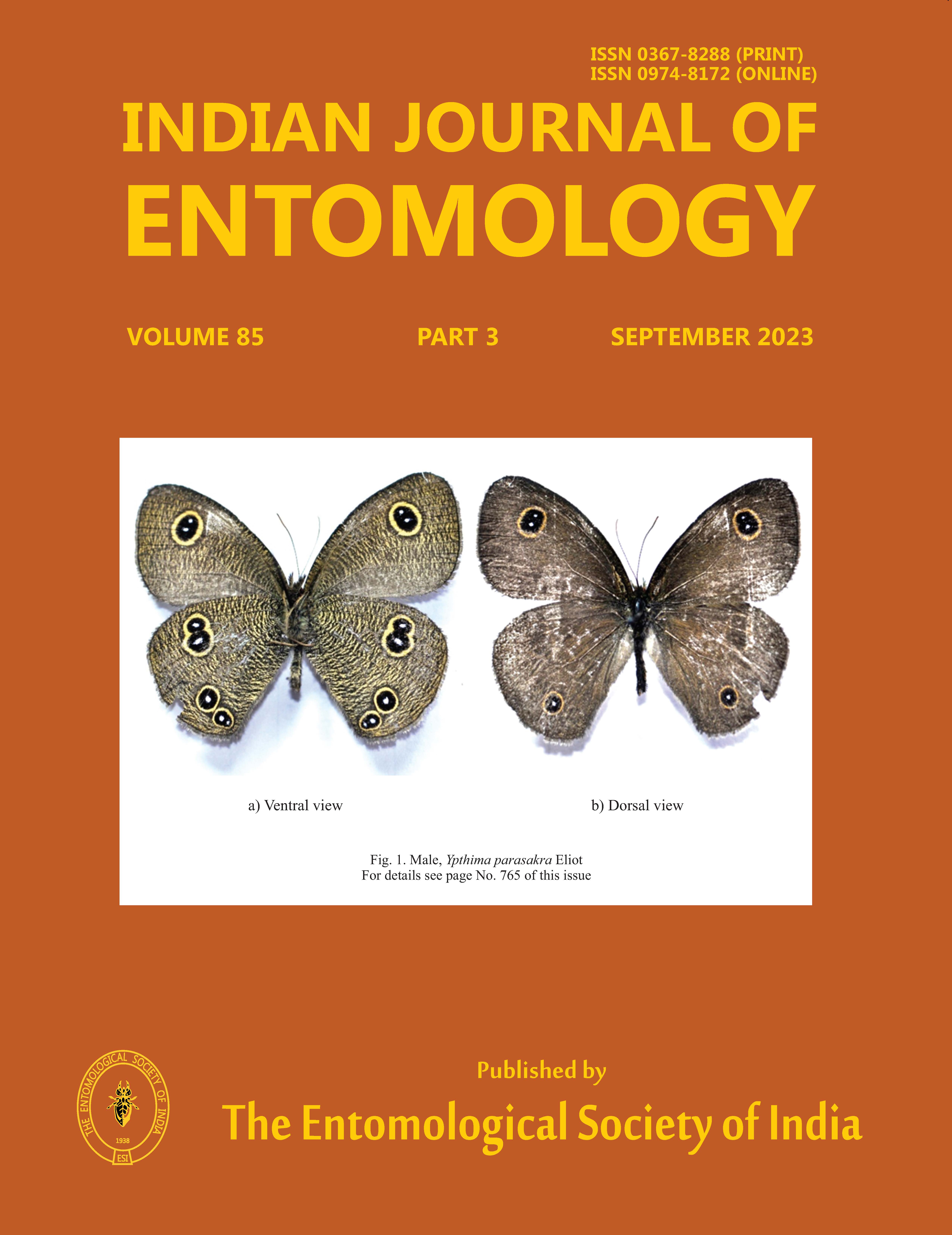 Journal Cover 1